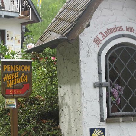 Pension Haus Ursula Coblence Extérieur photo